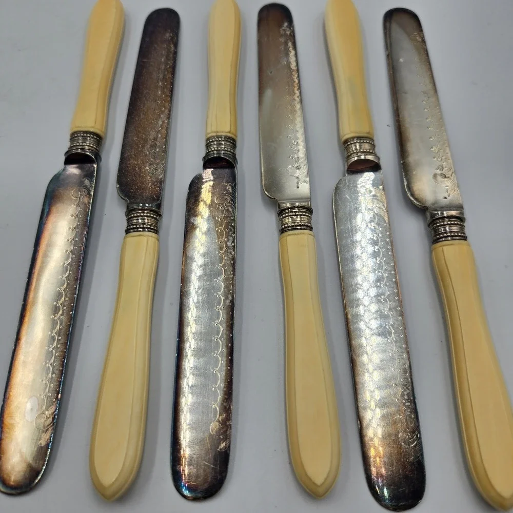 Vintage Dinner Butter‎ Knife Set EPNS Ornate Blade 6 Pc Rare Set Celluloid